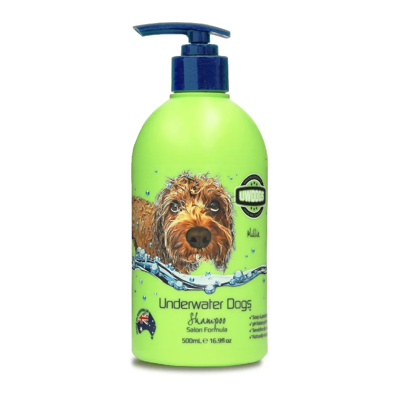 Everyday Shampoo 500ml