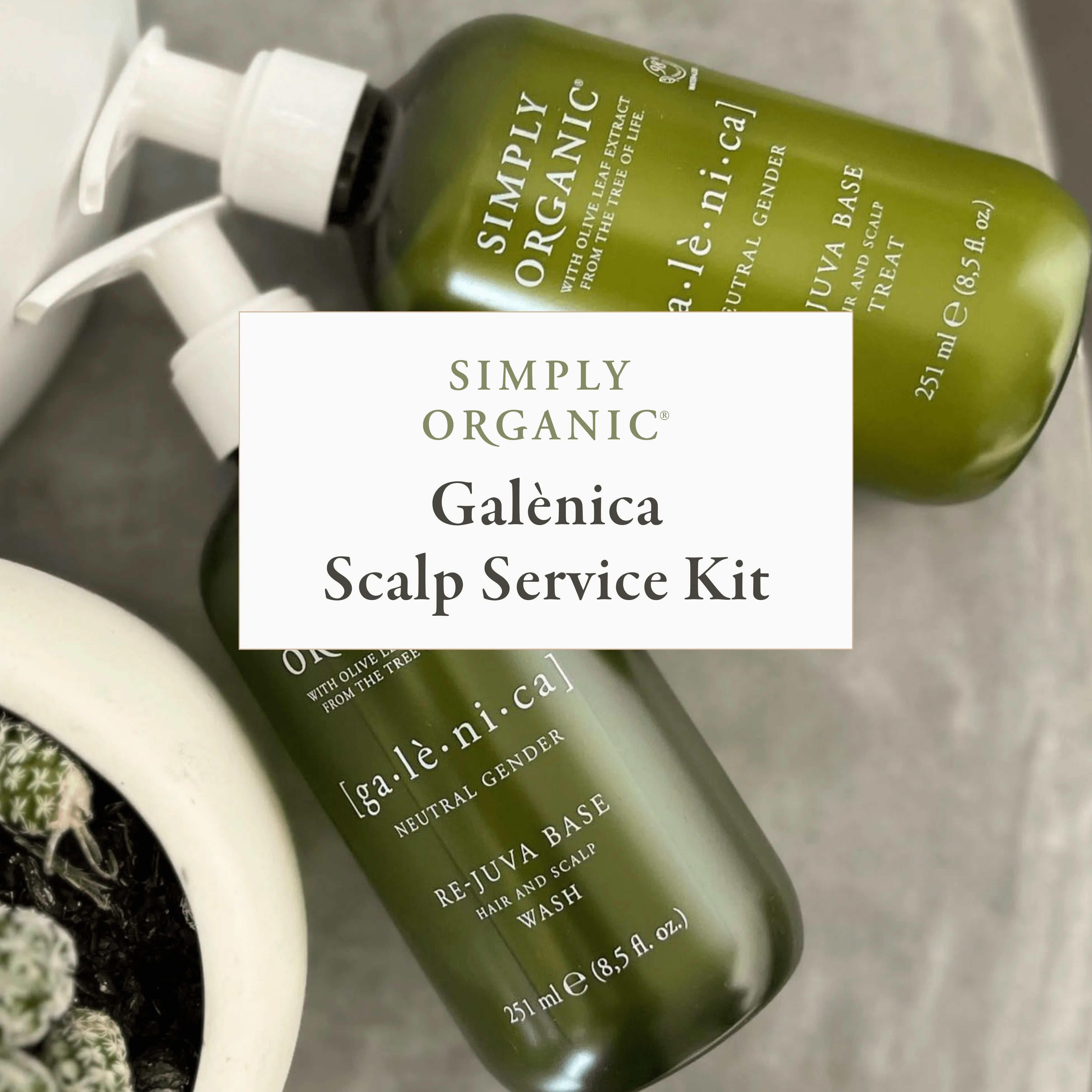 Galènica In-Salon Scalp Service Kit