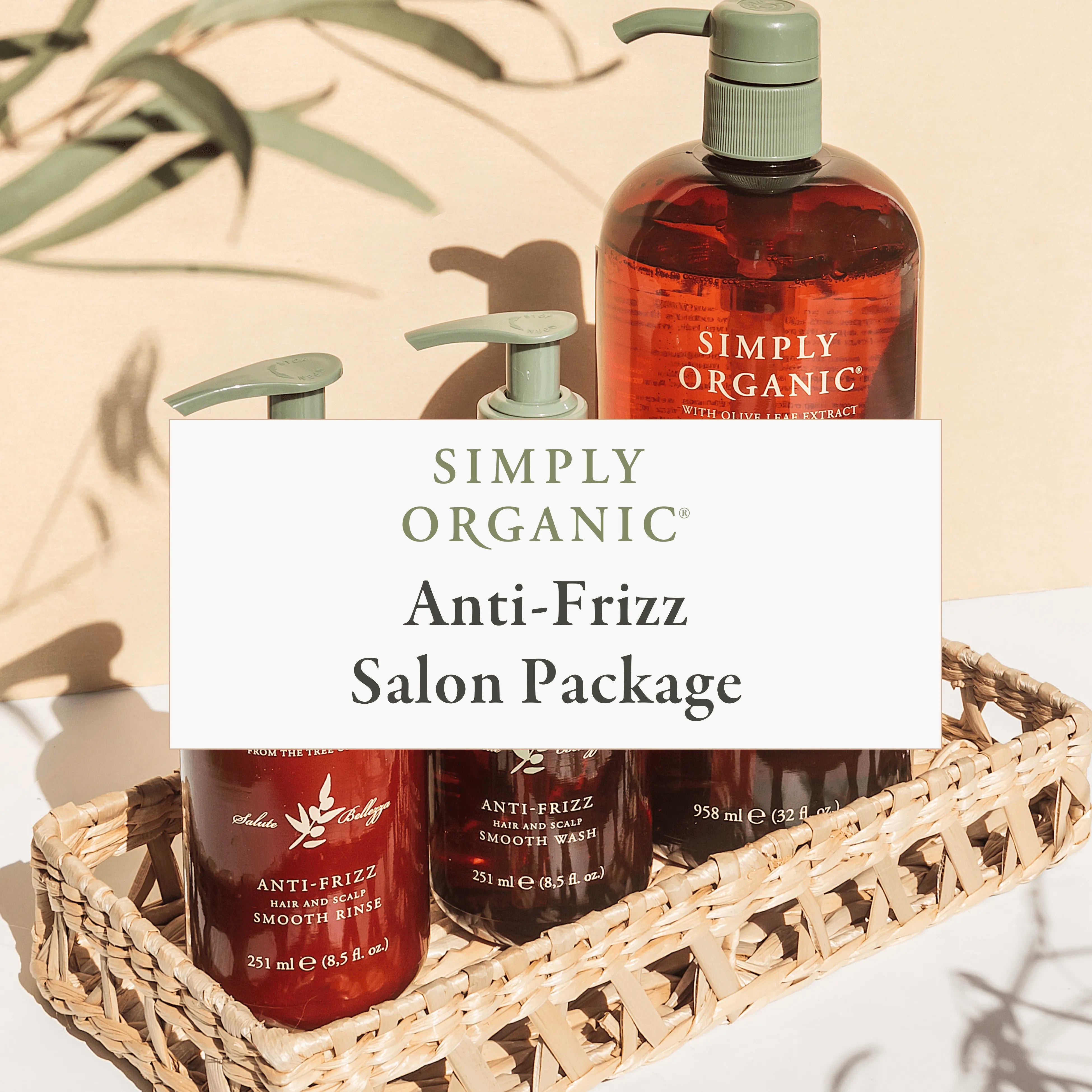 Anti-Frizz Salon Package